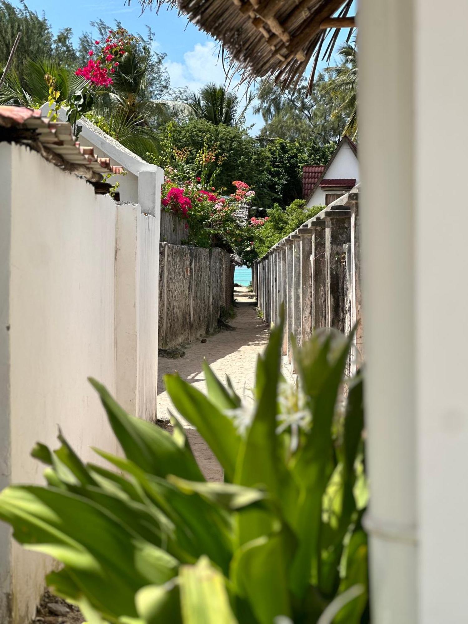 Mlango Paje House II B&B 외부 사진